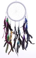 8.5" Dream Catcher with Color Feathers