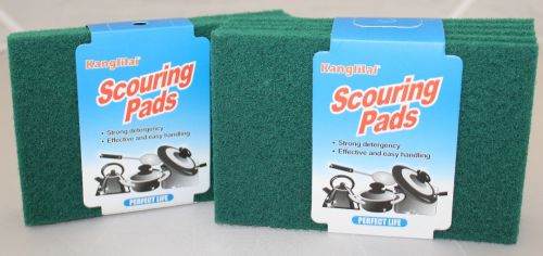 5 pc Green Scouring Pads