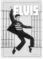 12x17 Rolled Edge Metal Sign "Elvis Jail"