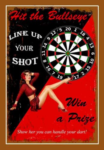 8x12 Metal Sign "Hit the Bullseye"