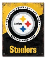 Pittsburgh Steeleres