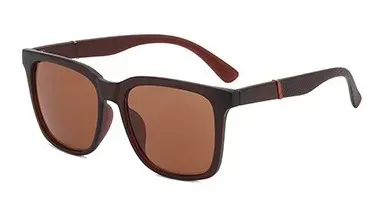 Brown Plastic Sunglass-Novelty Eyewear